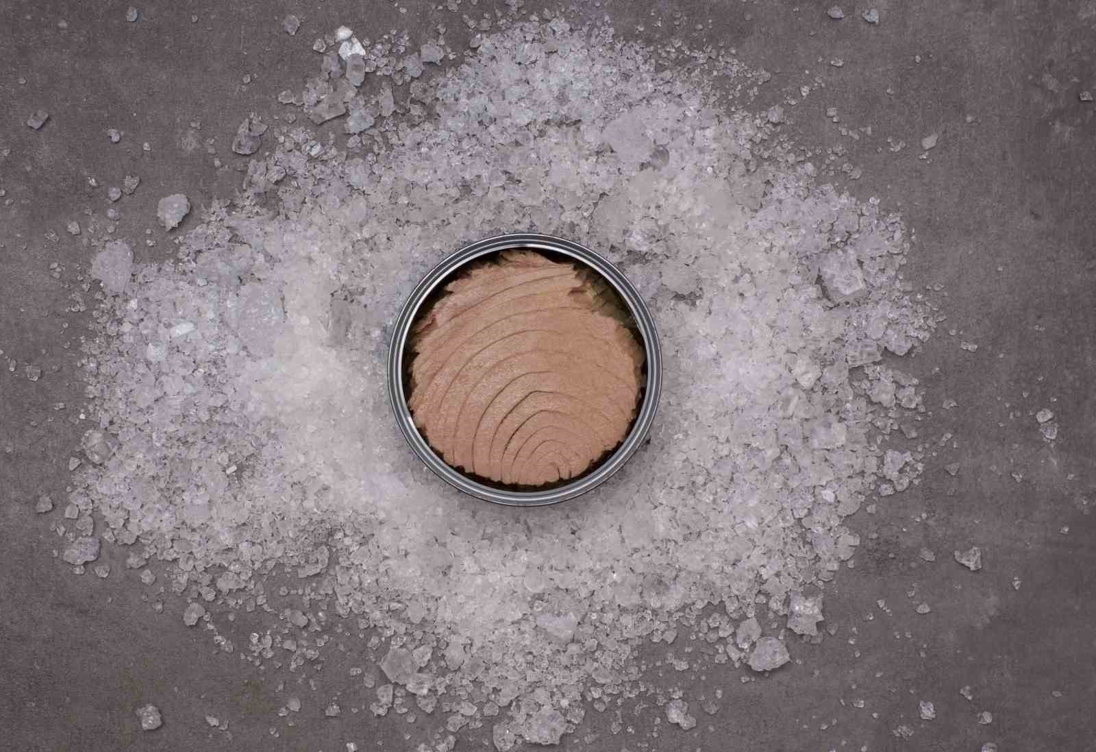 ’’Ton balığının konservesi de sağlıklı’’