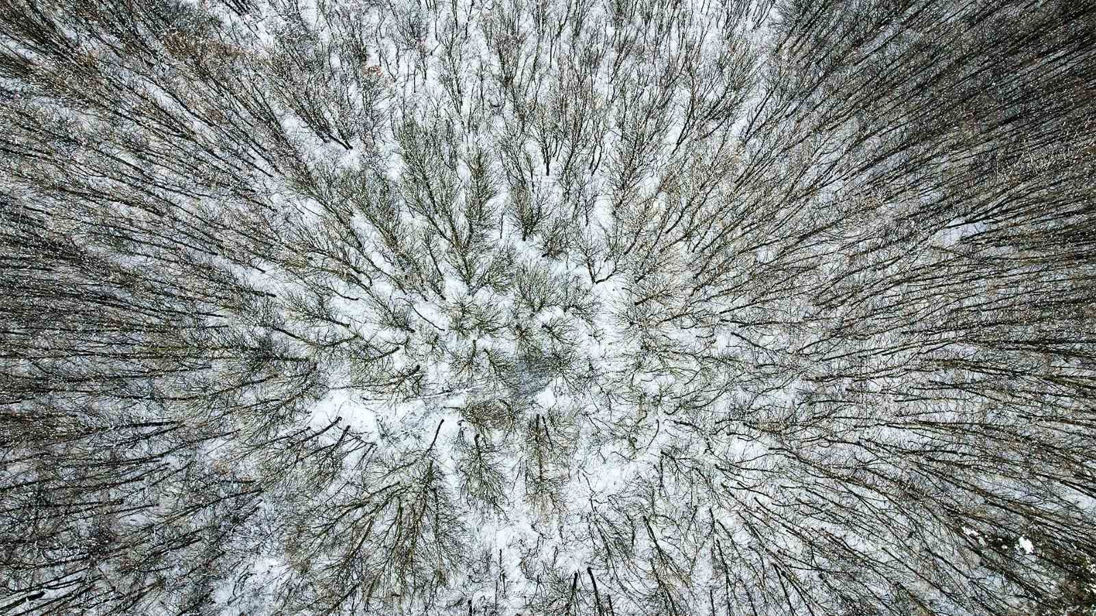 Mest eden manzarada kartopu keyfi

