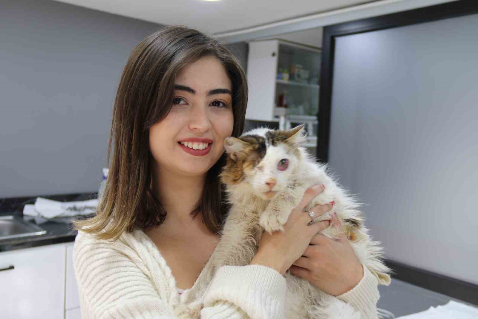 Yaralı kedi tek gözüyle hayvan severler sayesinde hayata tutundu