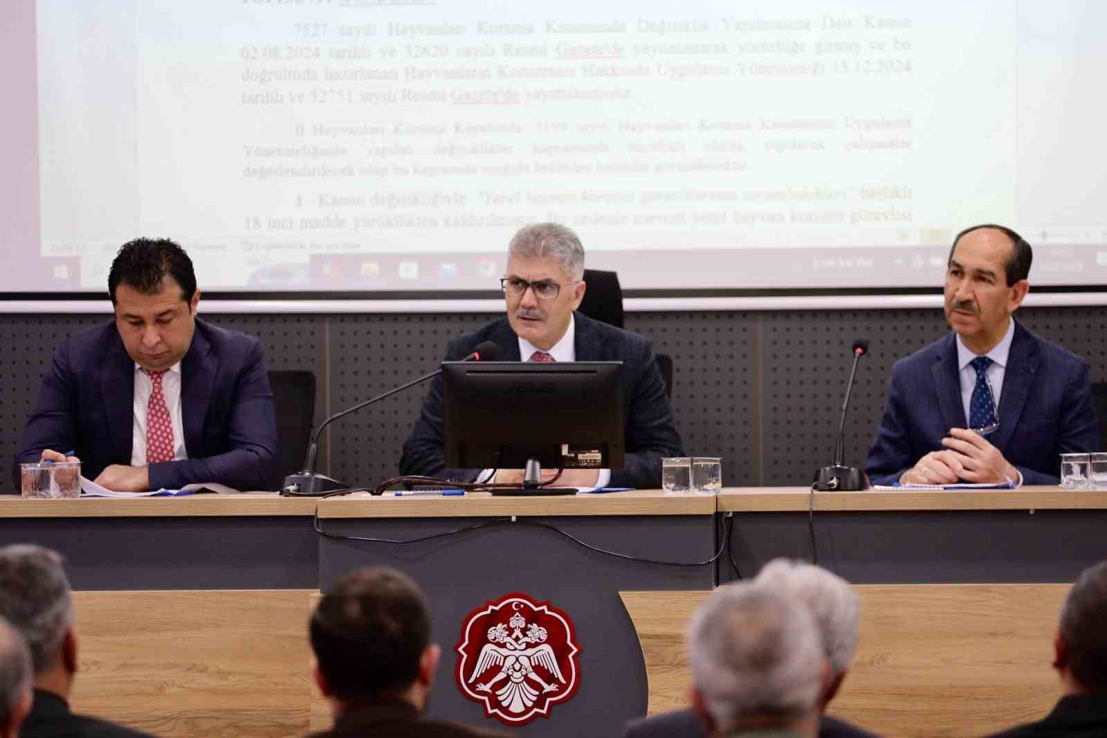 Niğde&rsquo;de başıboş hayvanlar i&ccedil;in doğal yaşam alanı oluşturulacak
