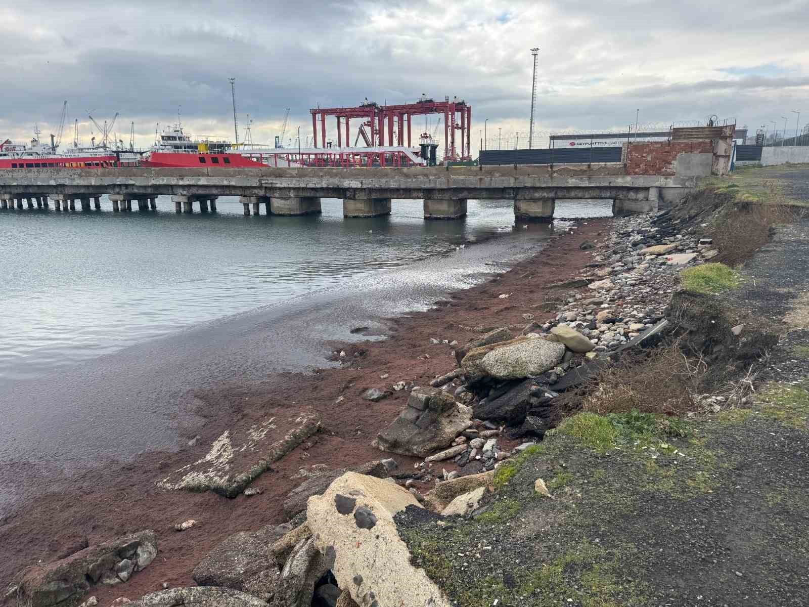 Tekirdağ kıyıları kızıl yosunla kaplandı
