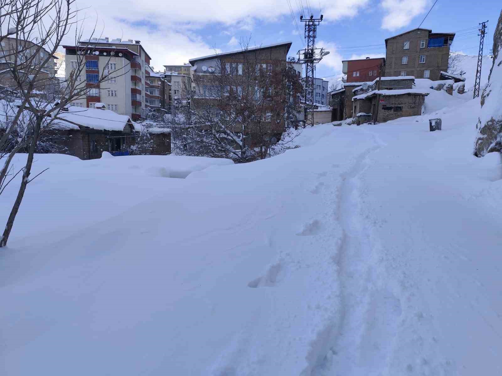 Hakkari’de 18 köy ve 64 mezra yolu ulaşıma kapandı