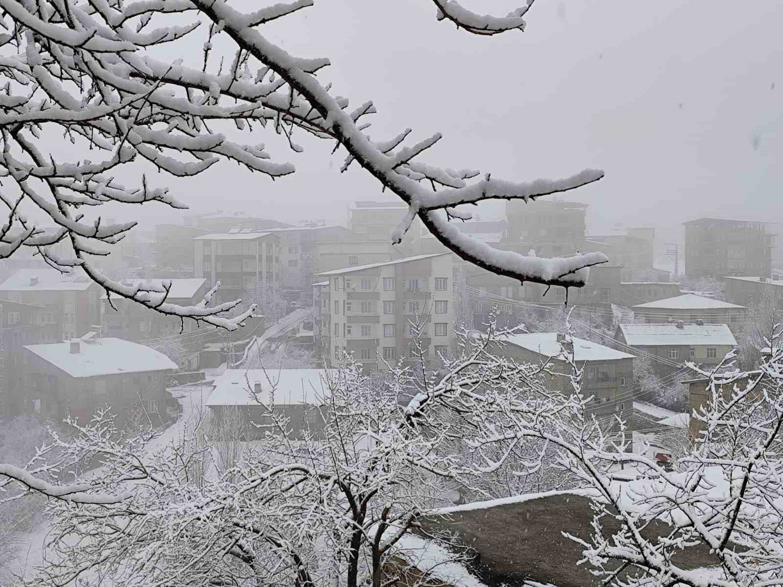 Hakkari&rsquo;de kar ve sis etkili oluyor
