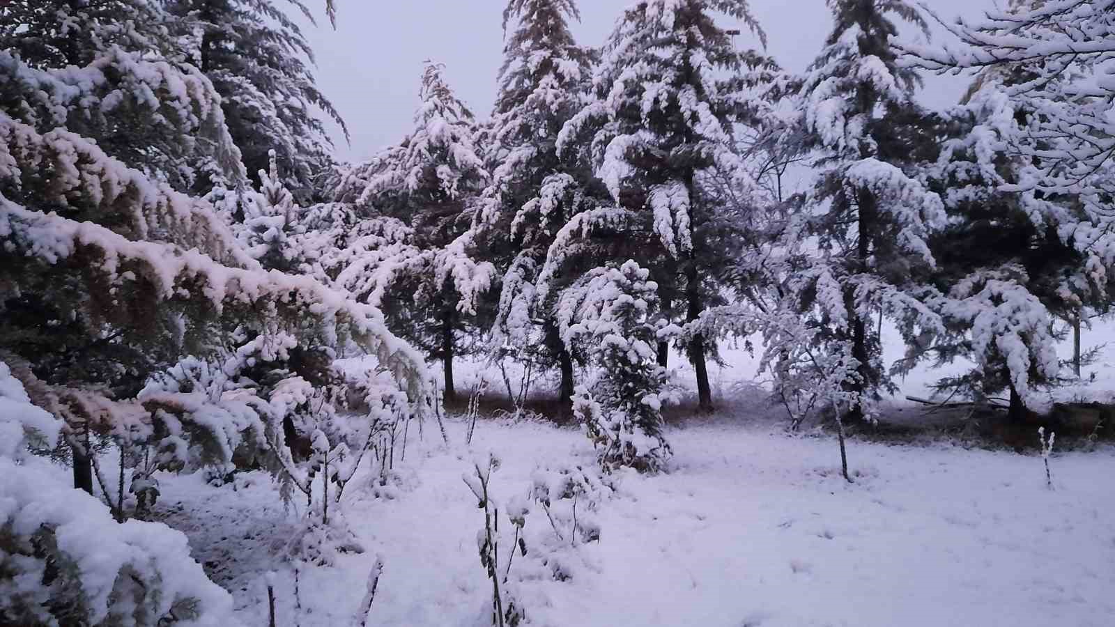 Malatya&rsquo;da kar yağışı hayatı olumsuz etkiliyor
