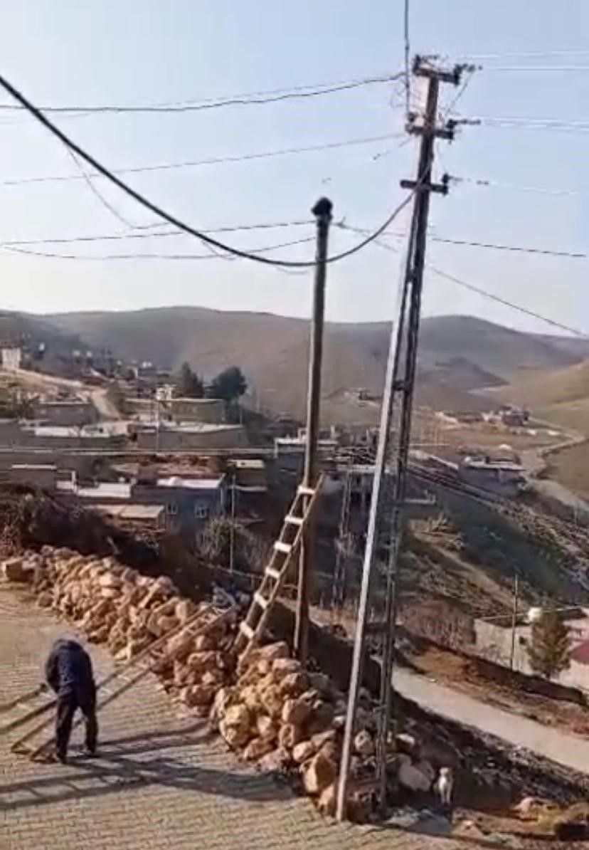 Diyarbakır&rsquo;da direkte mahsur kalan kedi merdiven yardımıyla kurtarıldı
