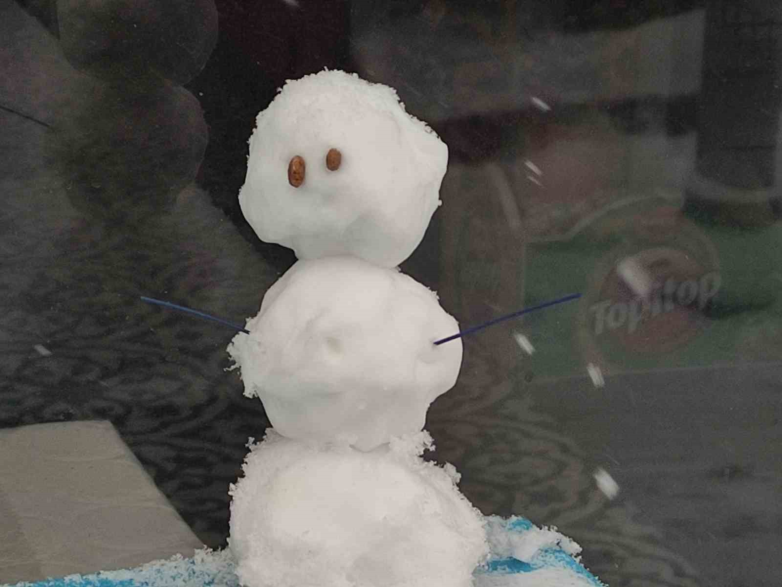 Ardahan’da kar yağışı: 119 köy yolu kapalı