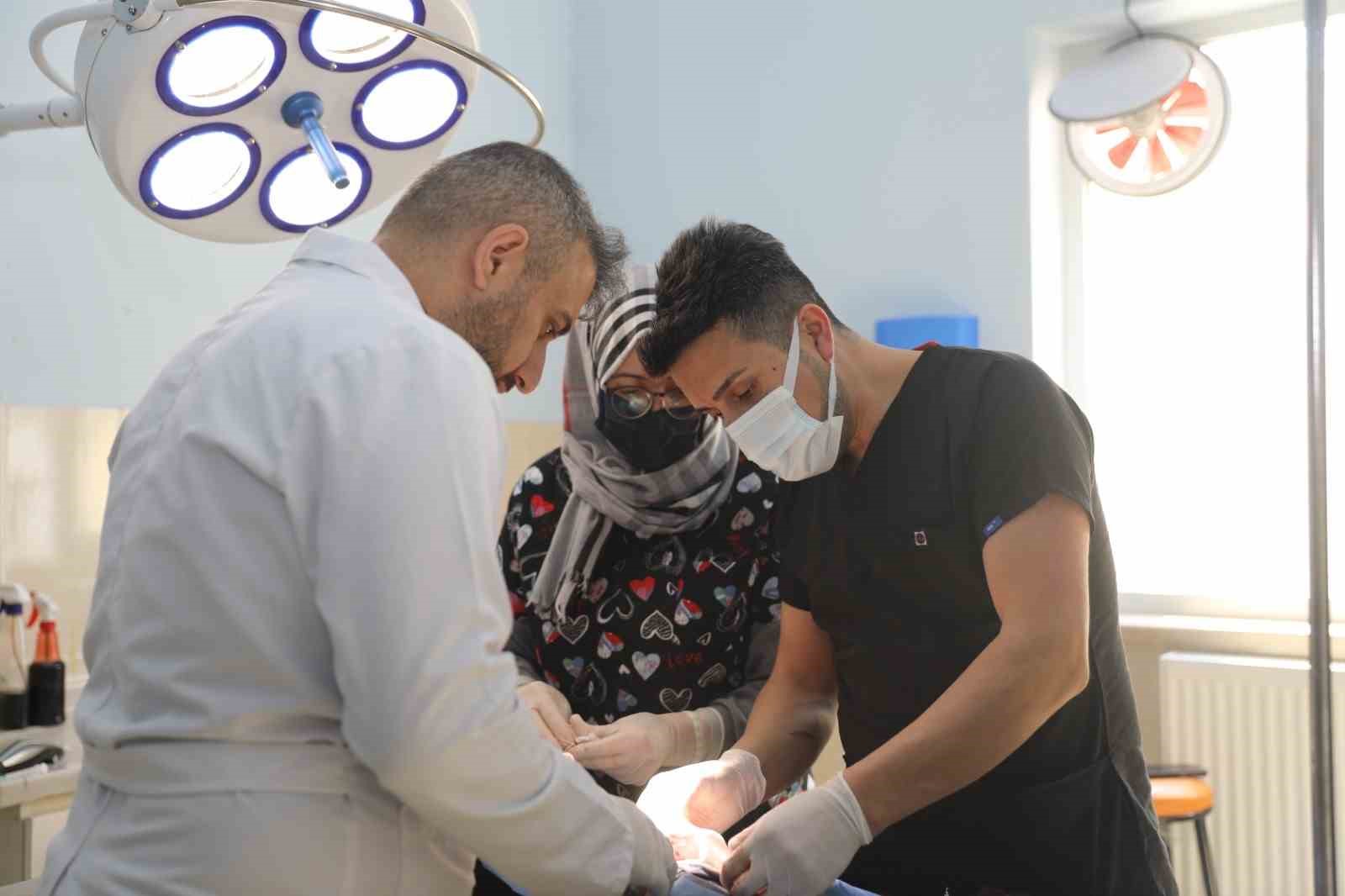 5 bacaklı dünyaya gelen kuzunun bir ayağı başarılı bir ameliyat ile alındı