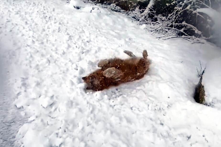 Bartın’da kar yağdı renkli renkli görüntüler ortaya çıktı