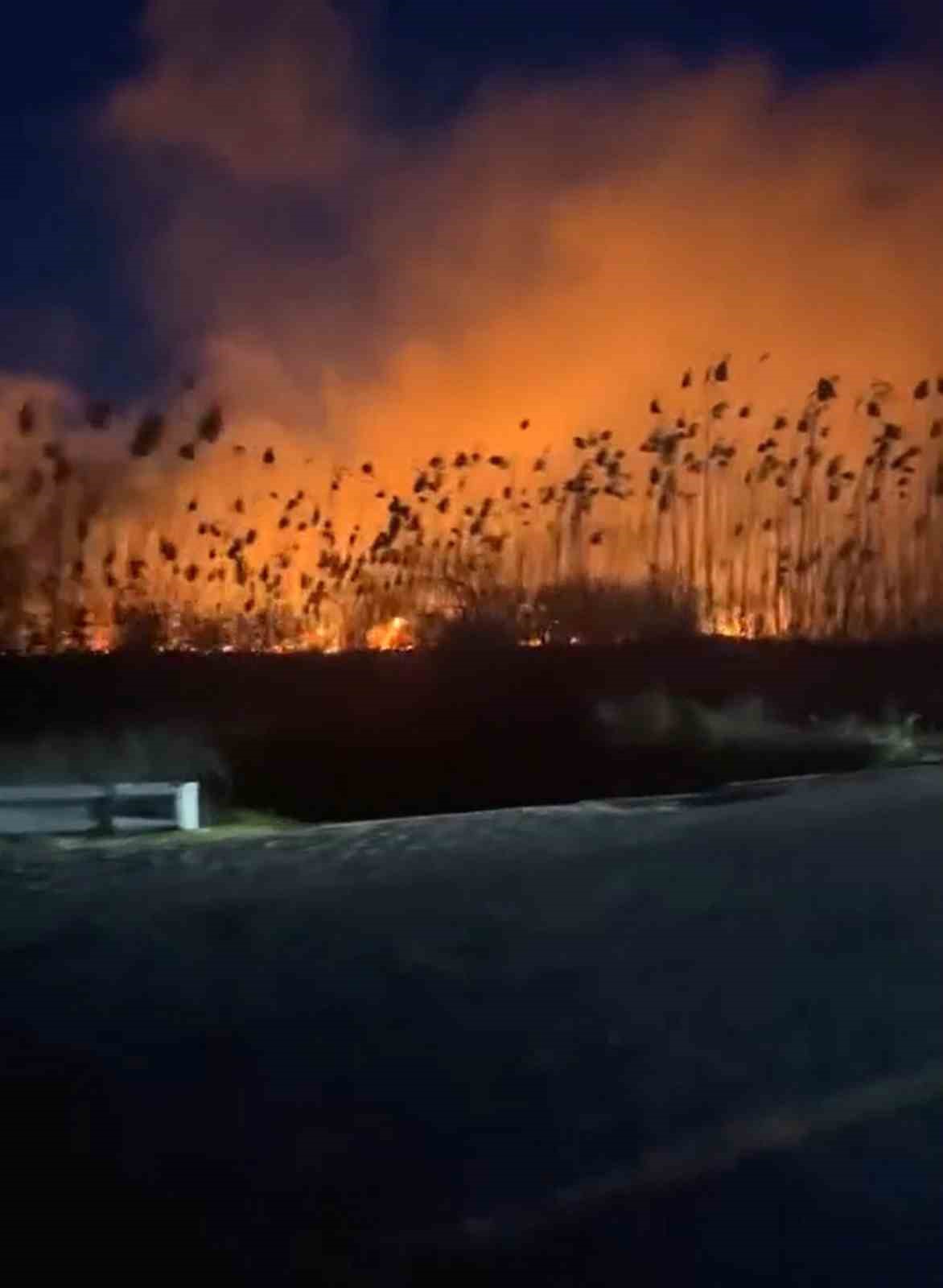 Köyceğiz’de sazlık yangını başladı