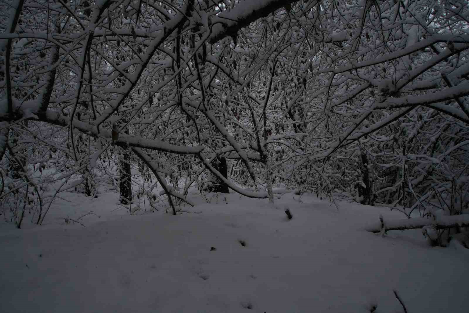 Kar yağışı, T&uuml;rkiye ile Bulgaristan sınırında kartpostallık g&ouml;r&uuml;nt&uuml;ler oluşturdu
