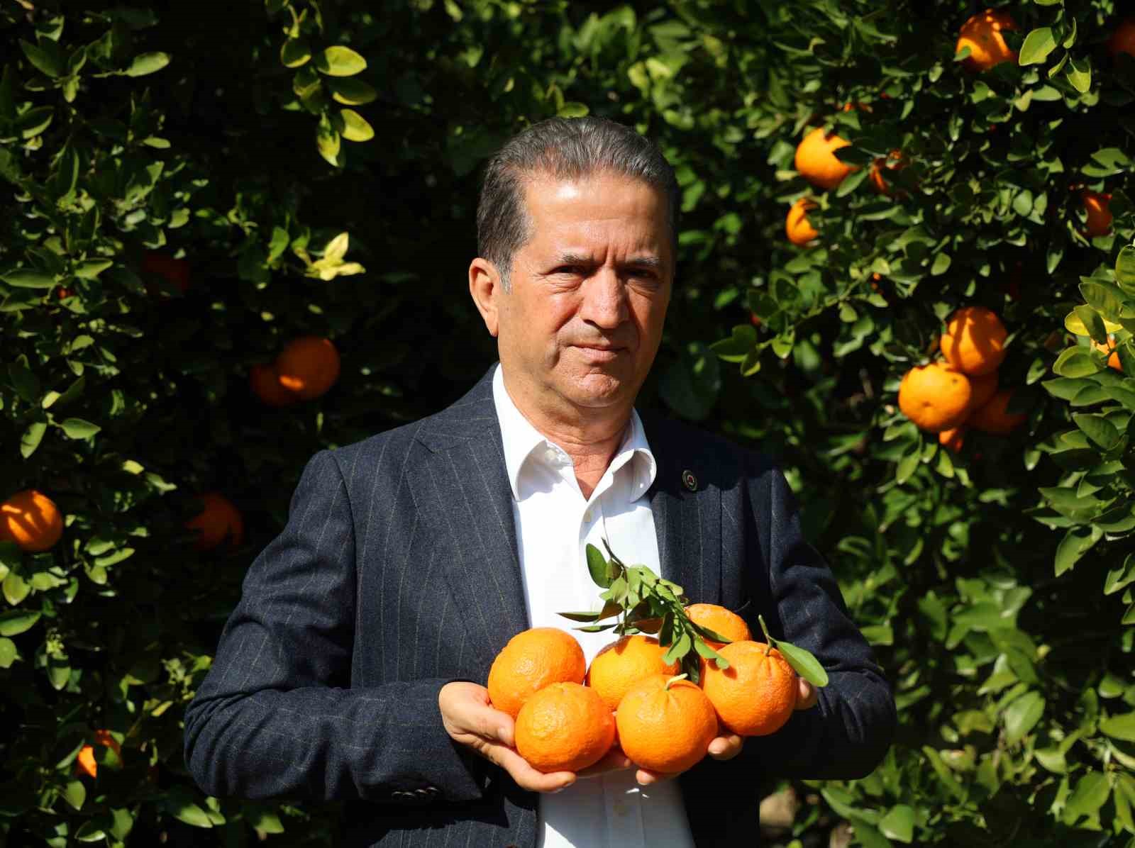 Zirai don uyarısı sonrası mandalina hasadı hız kazandı
