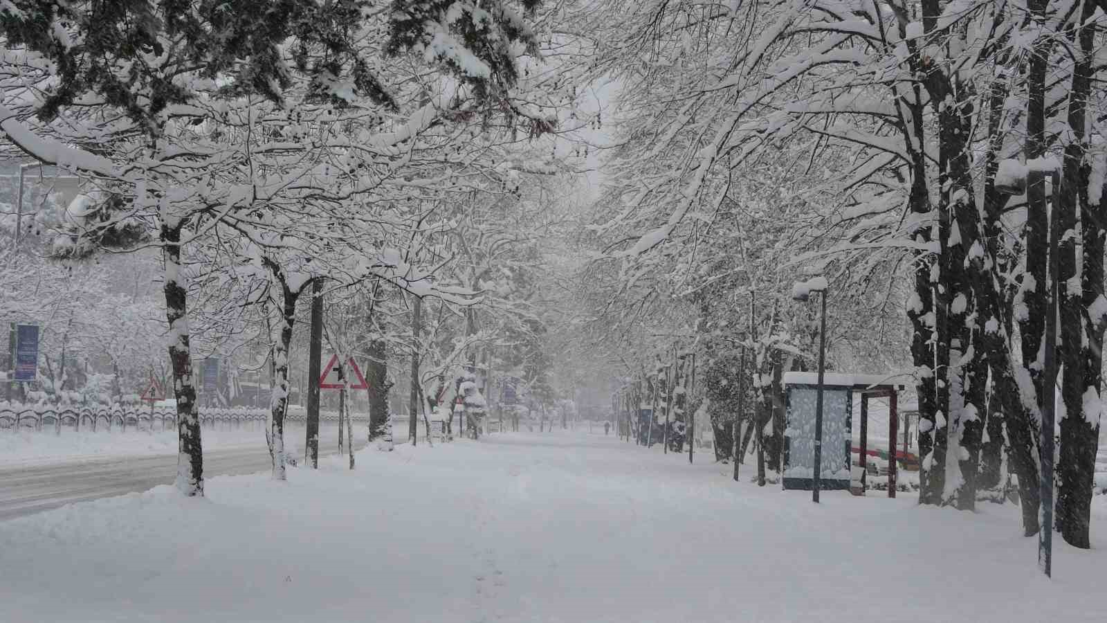 Rus kadın: "Ordu&rsquo;daki kar yağışı tıpkı Moskova gibi"
