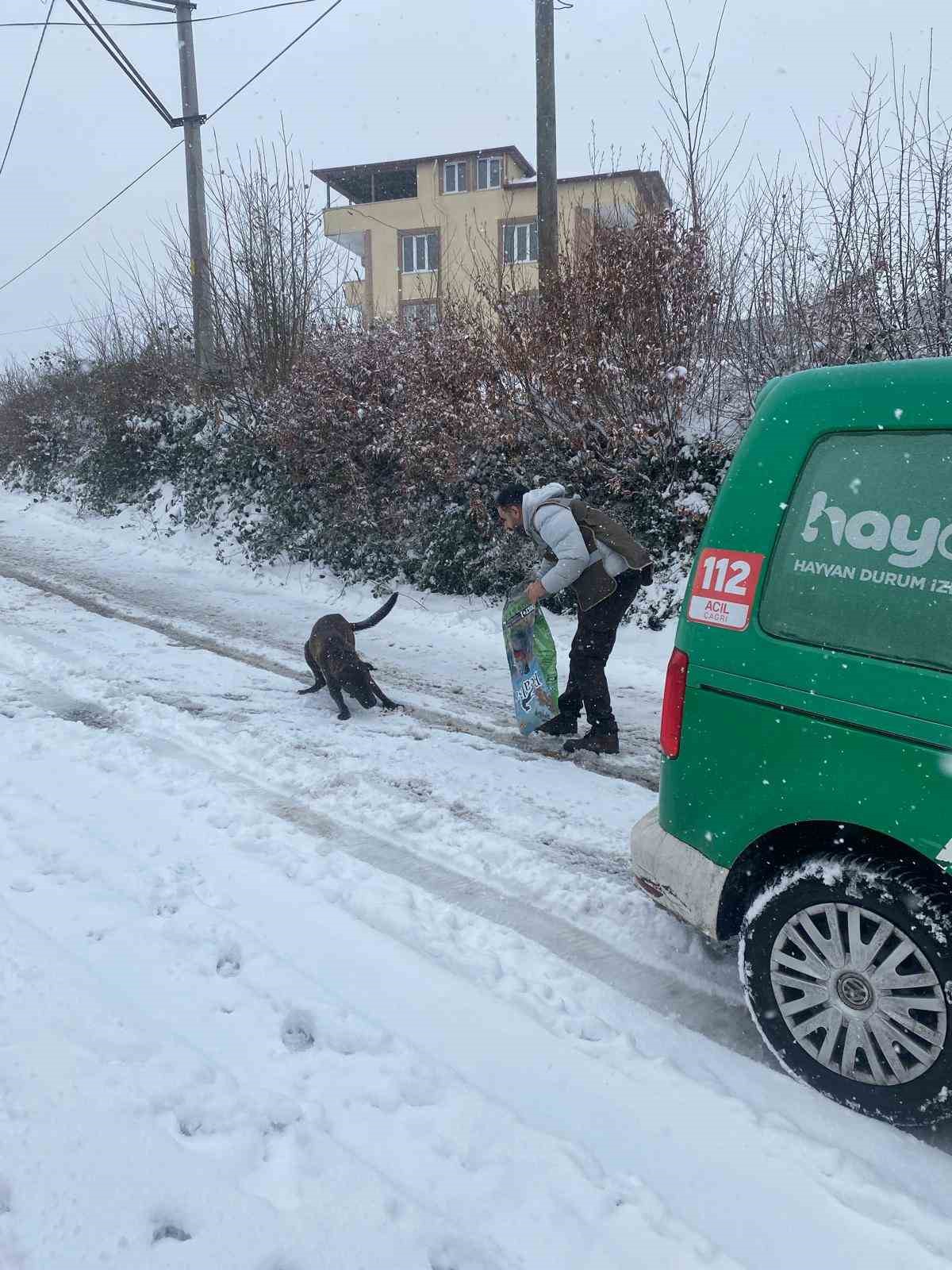 HAYDİ ekibinden sokak hayvanlarına mama desteği
