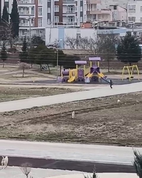 K&uuml;&ccedil;&uuml;k &ccedil;ocuk: "K&ouml;pekler az daha elimi ısıracaktı"
