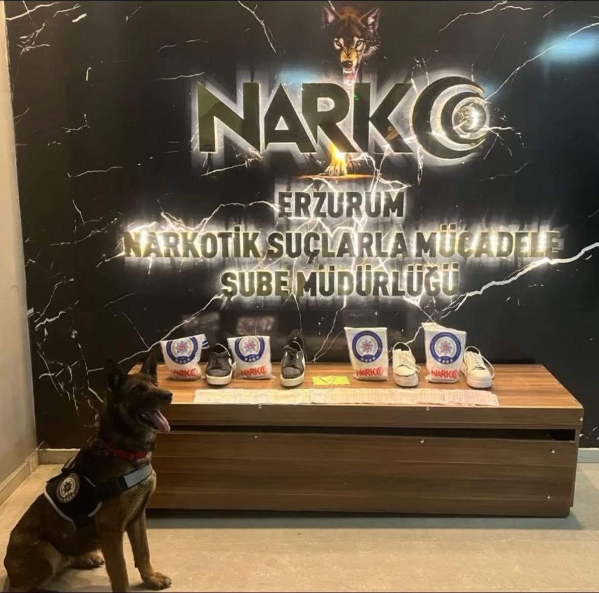 Narkotik Köpekleri Su ve Magnum yine affetmedi