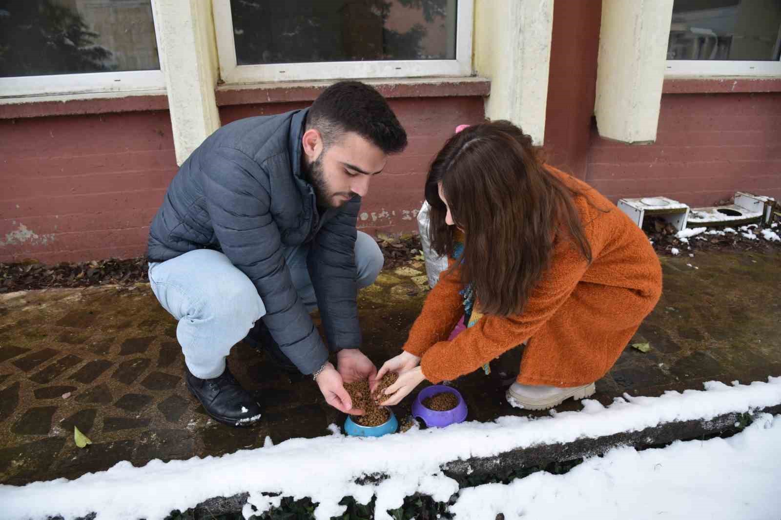 Soğuk havalarda sokak hayvanlarına OMÜ’den sıcak yardım