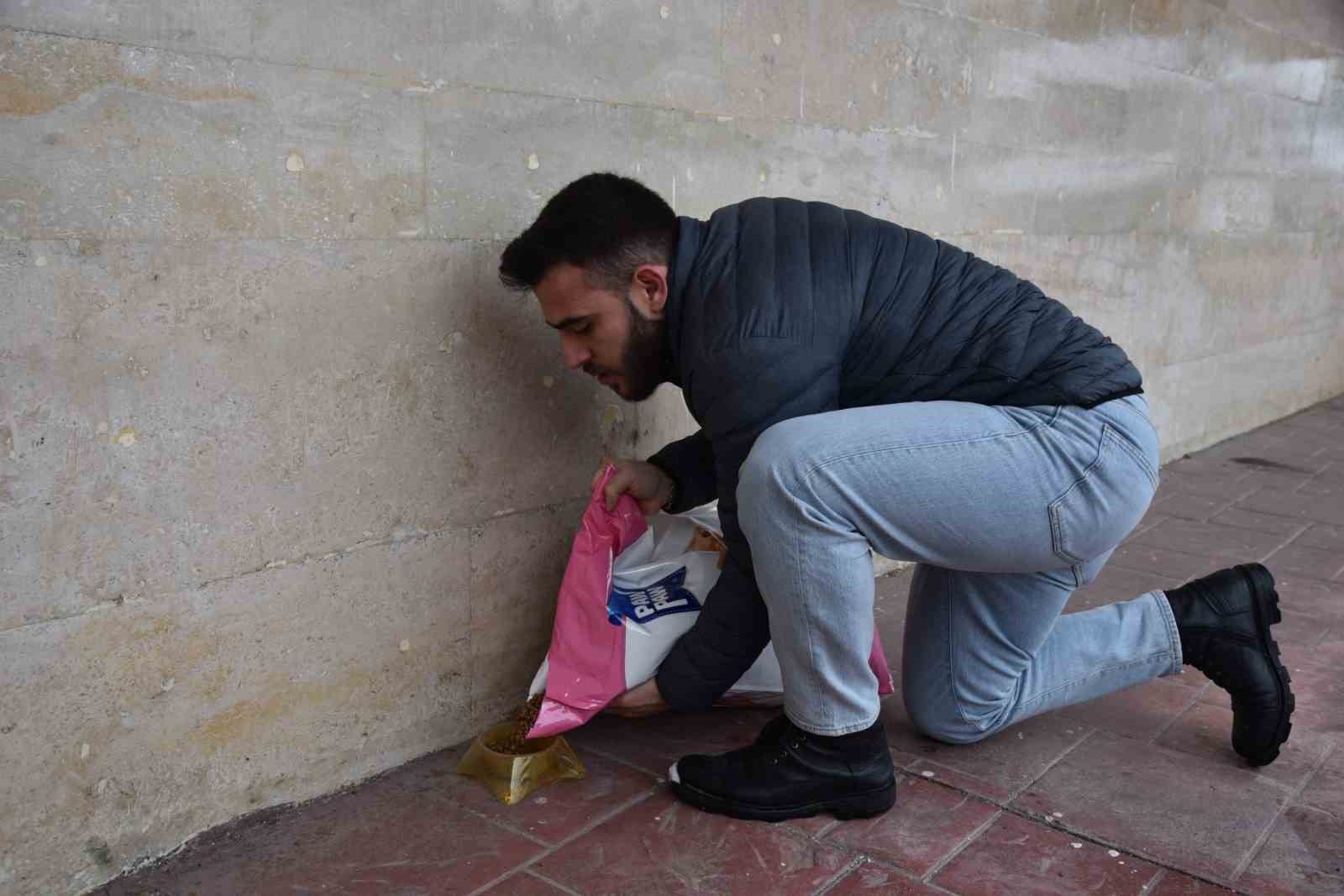 Soğuk havalarda sokak hayvanlarına OM&Uuml;&rsquo;den sıcak yardım
