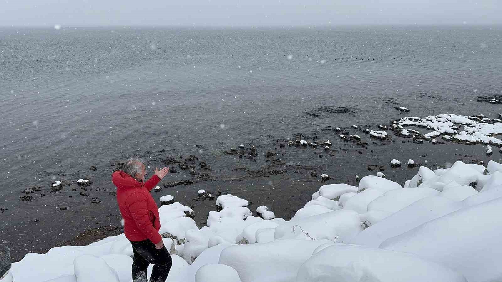 Dondurucu soğukta Van Gölü’nde yüzdü