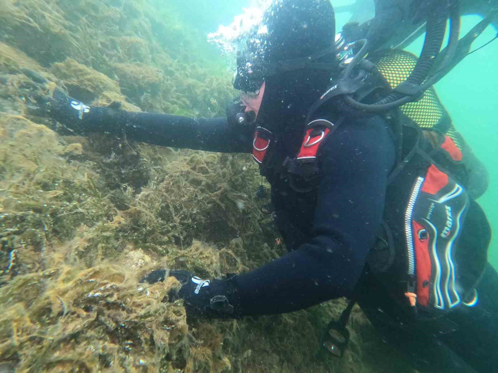 Bursa&rsquo;da dalgı&ccedil;lar m&uuml;silajın denizdeki durumunu g&ouml;r&uuml;nt&uuml;ledi
