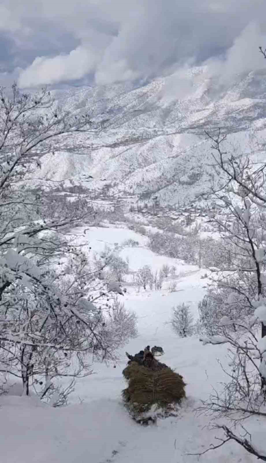 Derecik’te çiftçilerin zorlu kış mesaisi: 3 bin rakımdan otları kızaklarla indirdiler
