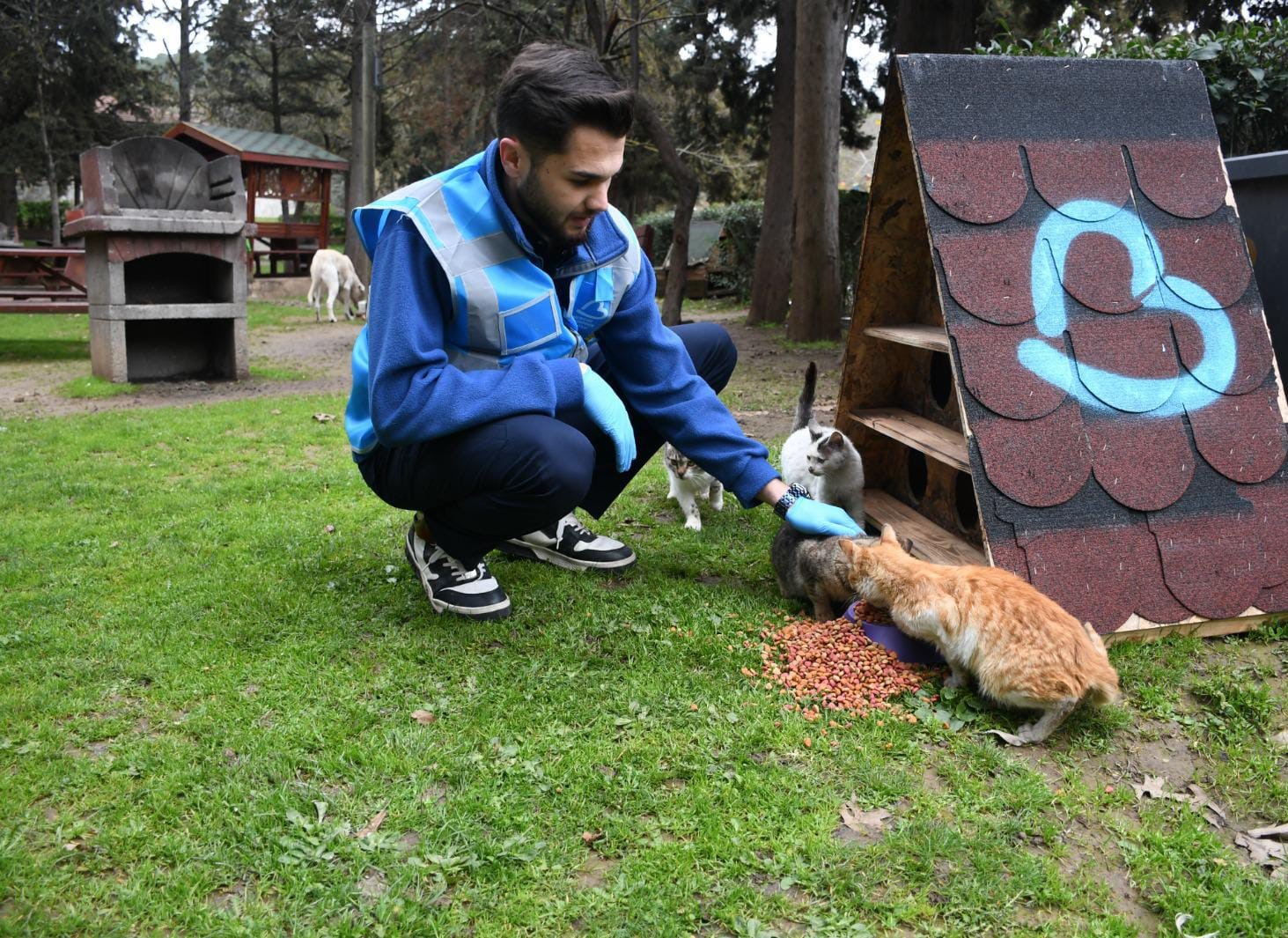 Başkan Ahmet Akın&rsquo;dan sokaktaki canlara kış desteği
