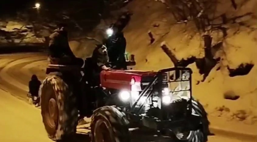 Traktörün direksiyonuna geçen Sibirya kurdu, vatandaşlara kızak keyfi yaşattı