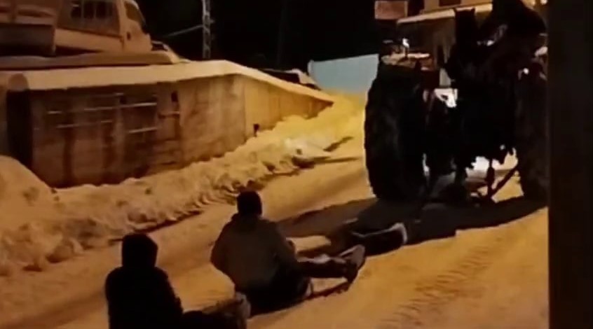 Trakt&ouml;r&uuml;n direksiyonuna ge&ccedil;en Sibirya kurdu, vatandaşlara kızak keyfi yaşattı
