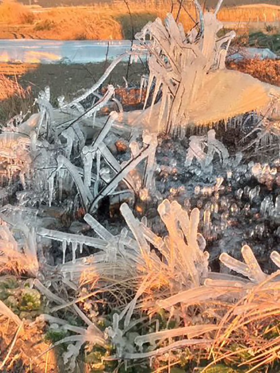 Adana&rsquo;da "don" &ccedil;ift&ccedil;iyi vurdu
