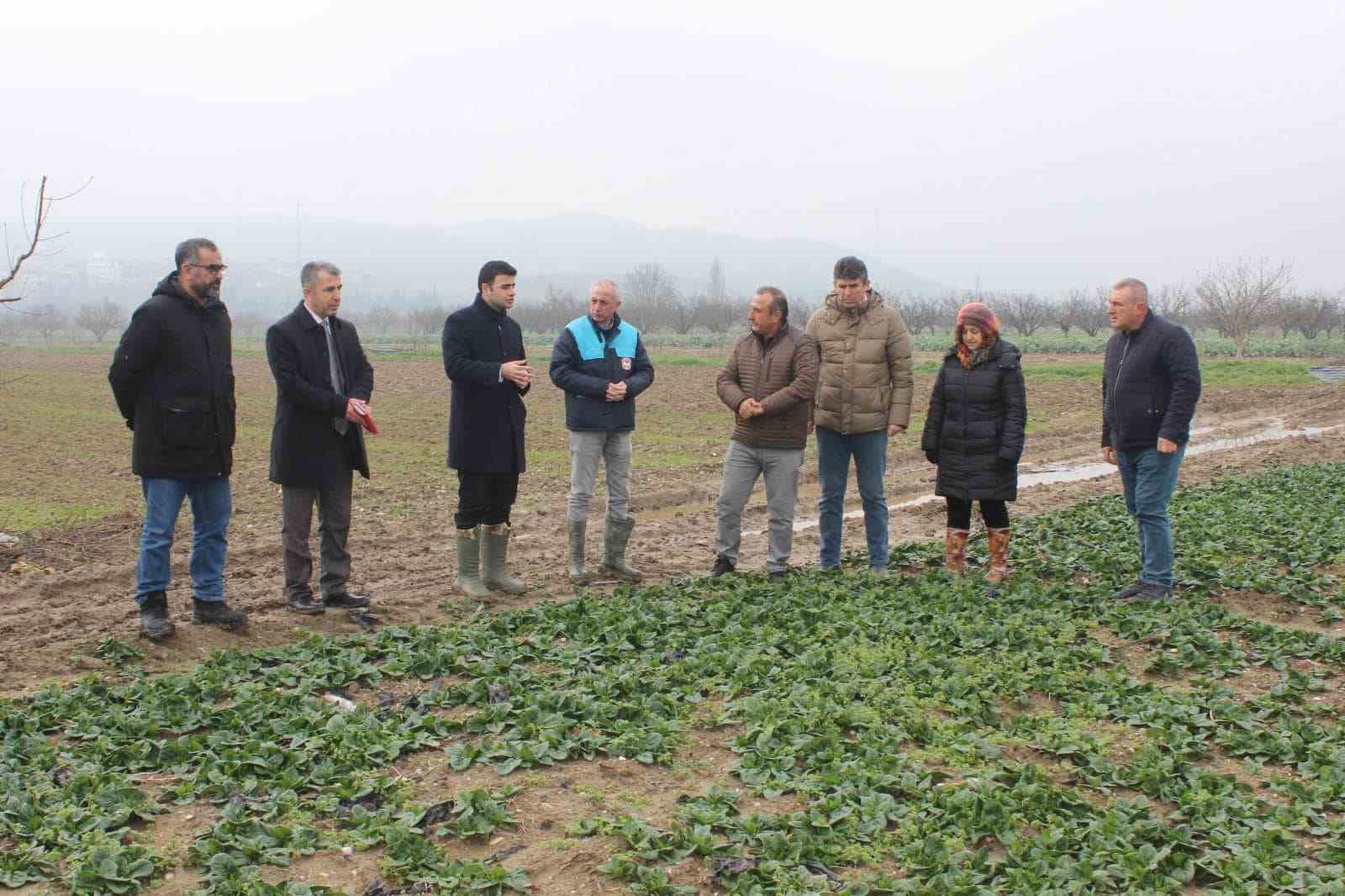 Kaymakamdan Ciciler k&ouml;y&uuml;nde kapsamlı inceleme
