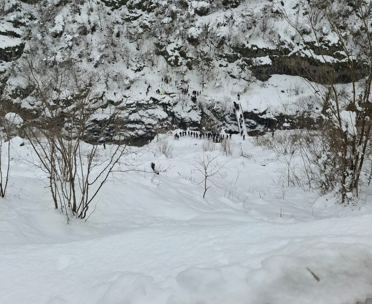 Ordu&rsquo;da kaybolan kadın i&ccedil;in arama &ccedil;alışması başlatıldı

