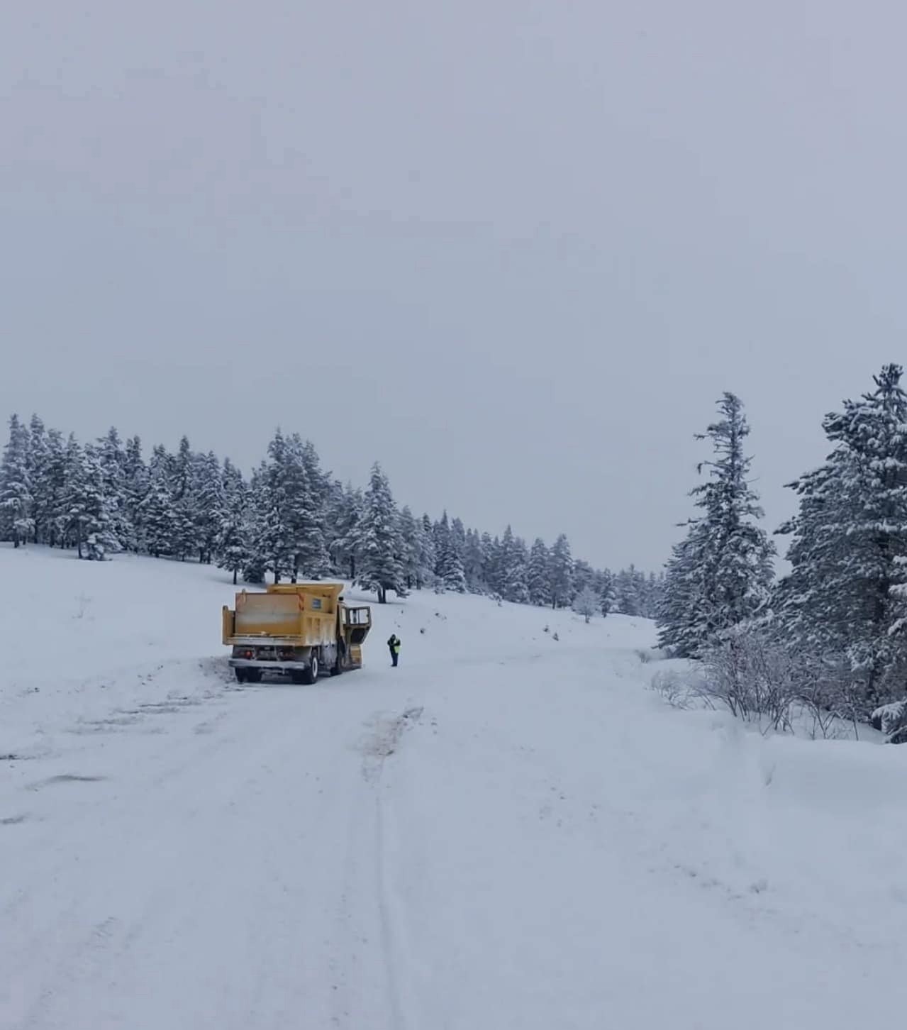 Sinop&rsquo;ta karla m&uuml;cadele &ccedil;alışmaları devam ediyor
