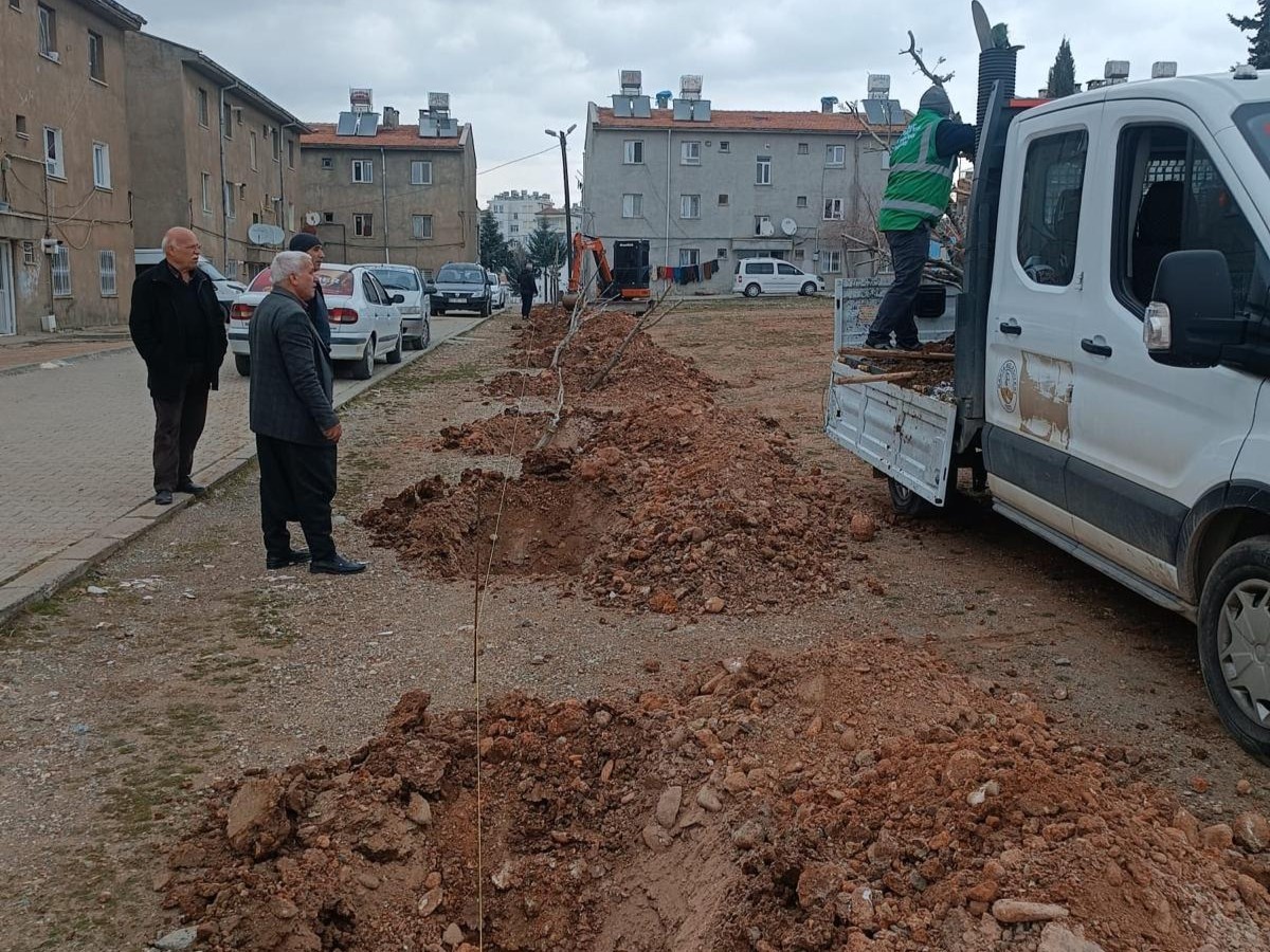 Kahta Belediyesi, ağaçlandırma çalışmalarına hızla devam ediyor
