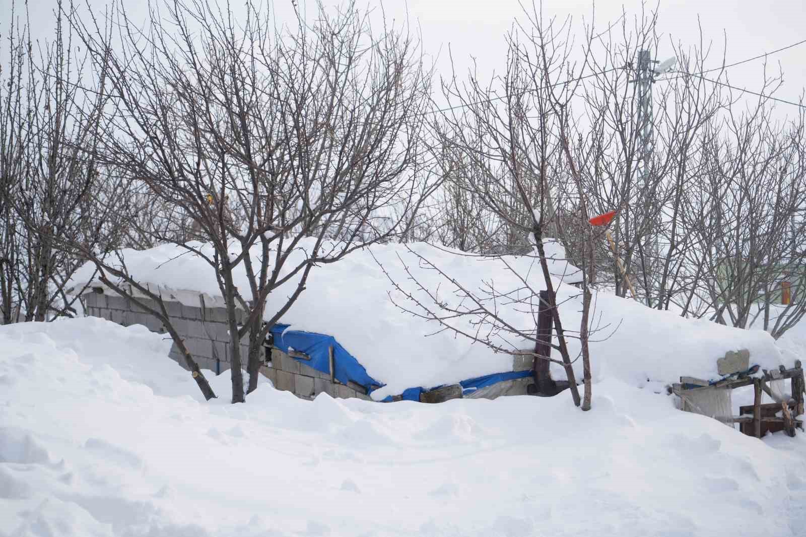 Kalecik köyünde evler ve ahırlar metrelerce karın altında kaldı