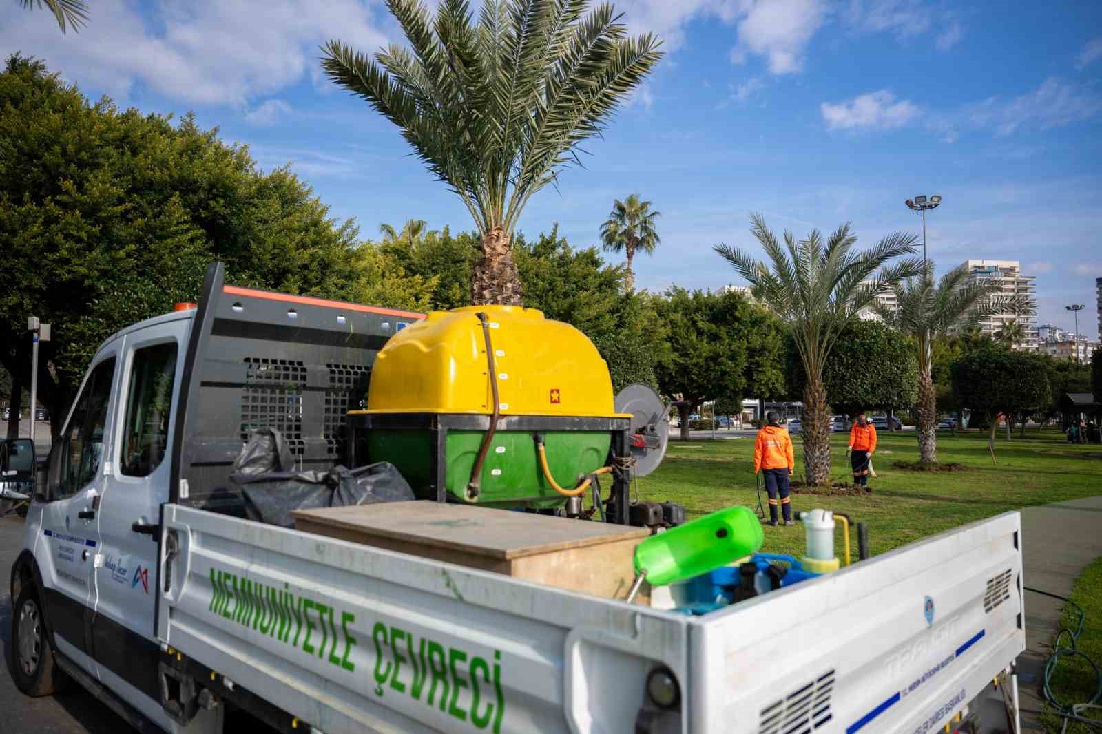 Mersin’in simgesi palmiyeler zararlılara karşı korunuyor
