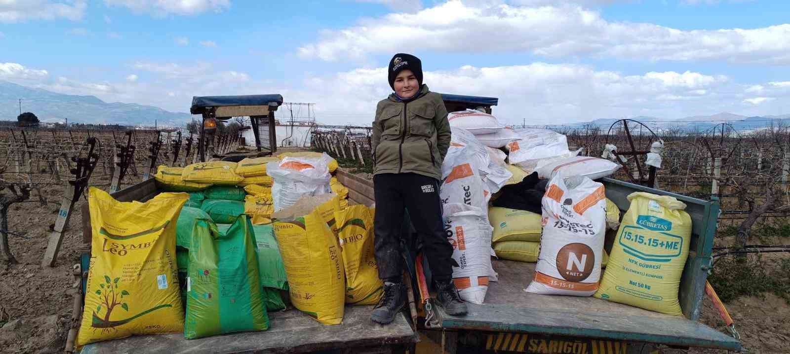 Manisa’da üzüm bağlarına kışlık gübre veriliyor