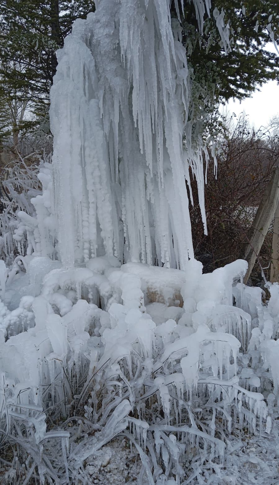 Gediz’de ağaçlarda buz sarkıtları oluştu