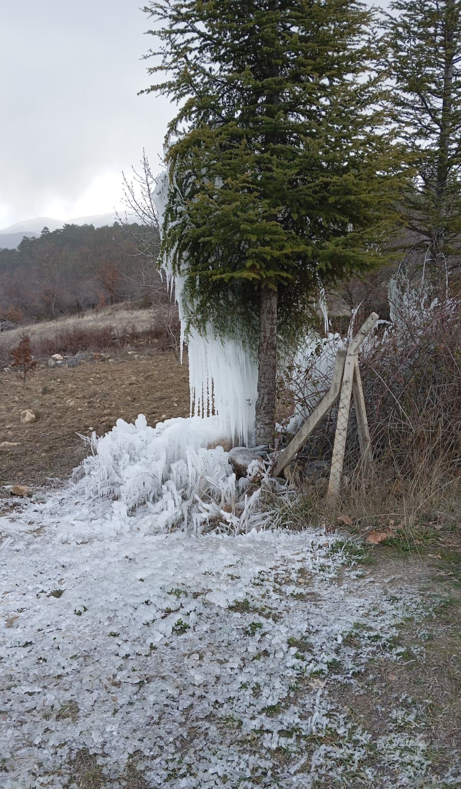Gediz&rsquo;de ağa&ccedil;larda buz sarkıtları oluştu
