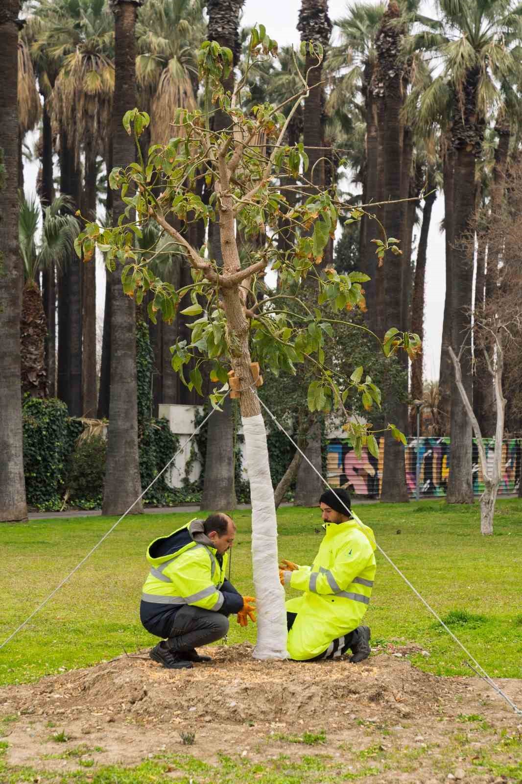 Kültürpark’ta gençleştirme ve yenileme çalışmaları
