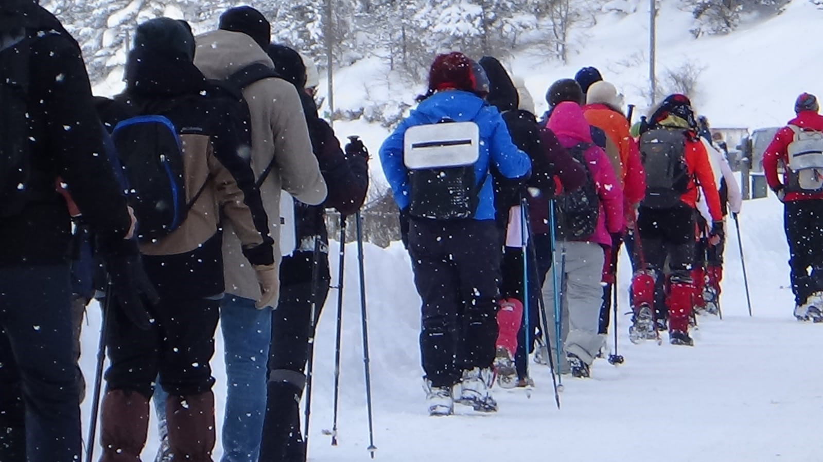 Bolu’da trekking ekibi 50 santimlik karda 12 kilometre yürüdü
