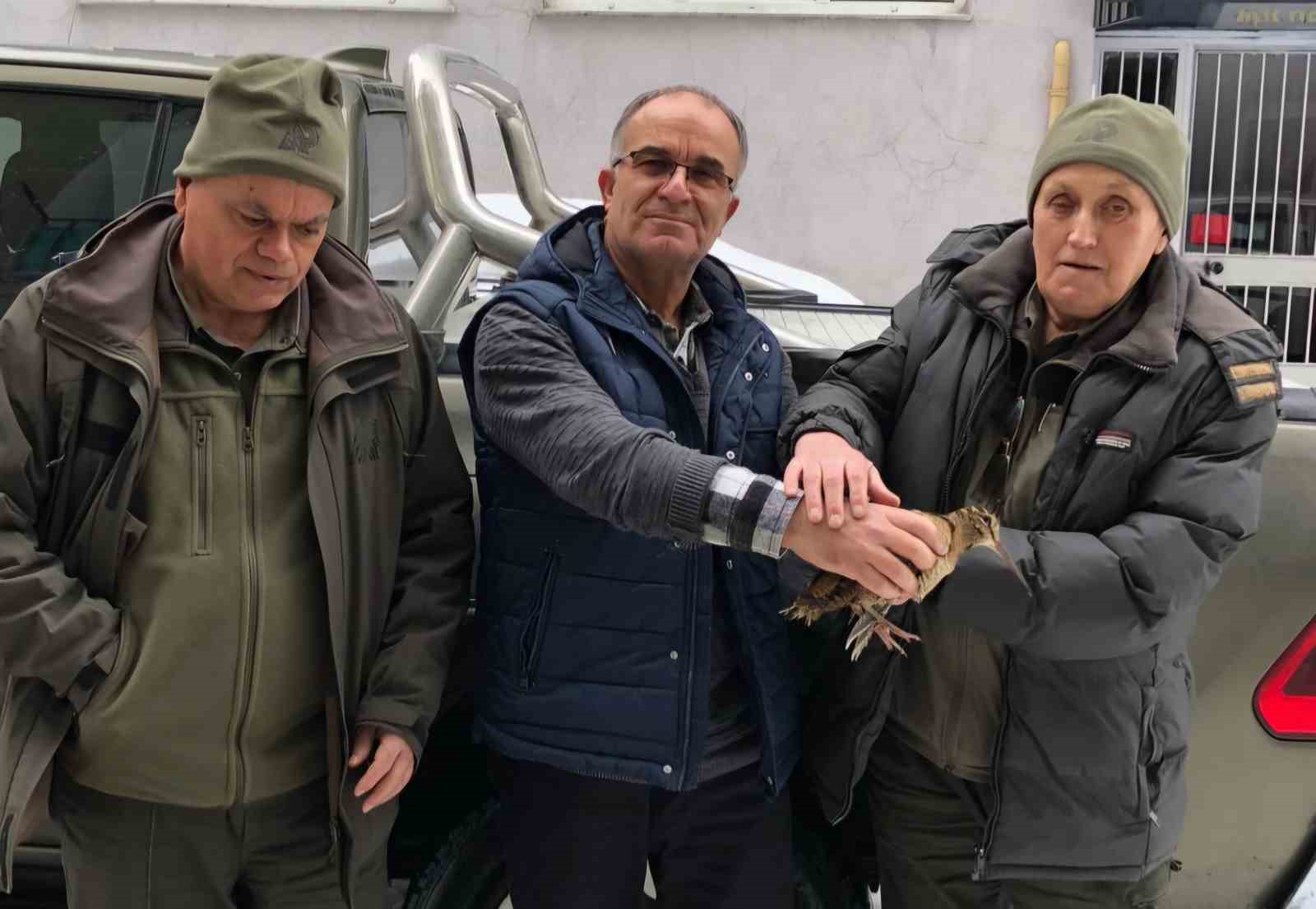Emekli sağlıkçı karda aç kalan çulluğa sahip çıktı