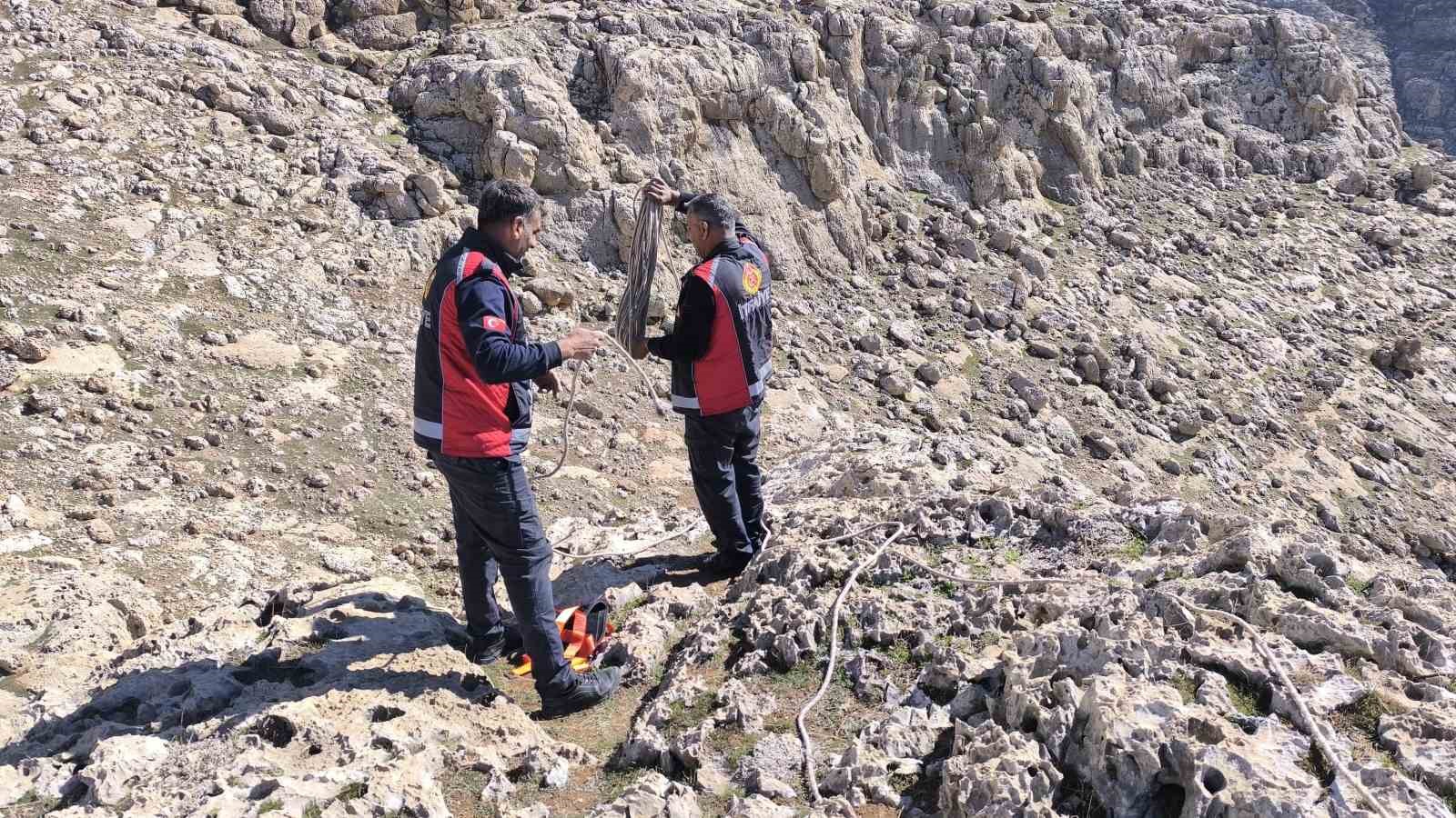 Kayalıkta mahsur kalan 17 oğlak kurtarıldı