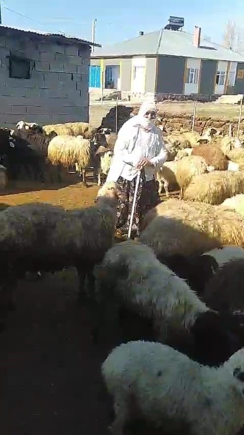 Sibirya soğukları besicileri zorluyor
