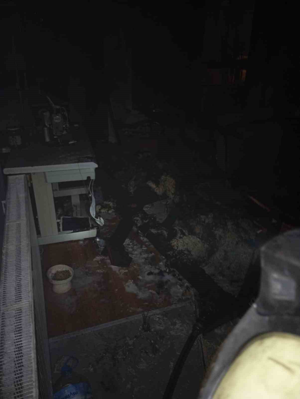 Erdek&rsquo;te &ccedil;akmak gazı yangına neden oldu: Alevlerin arasında kalan kedi kurtarıldı
