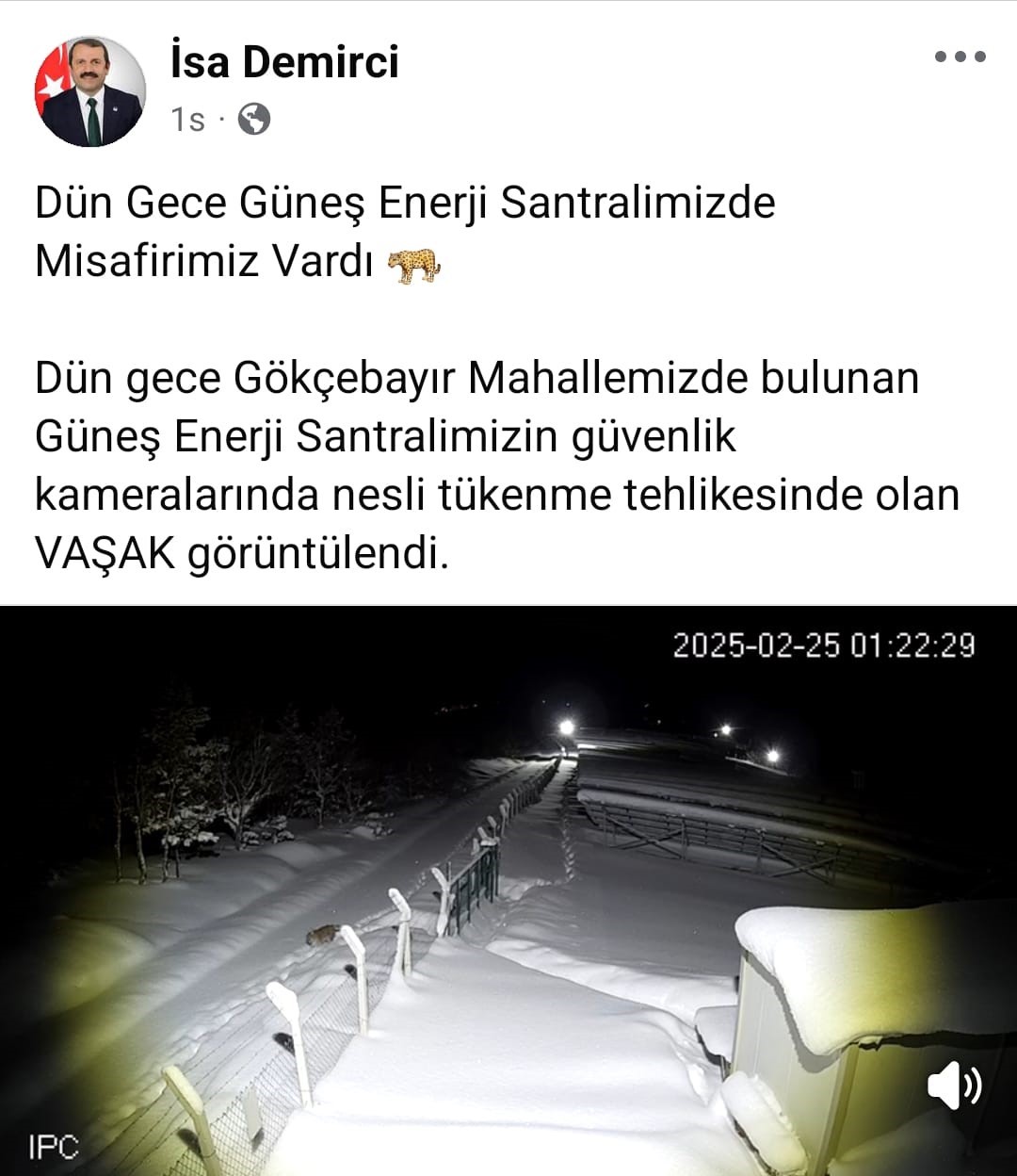 Ordu&rsquo;da nesli t&uuml;kenme altında olan vaşak g&ouml;r&uuml;nt&uuml;lendi
