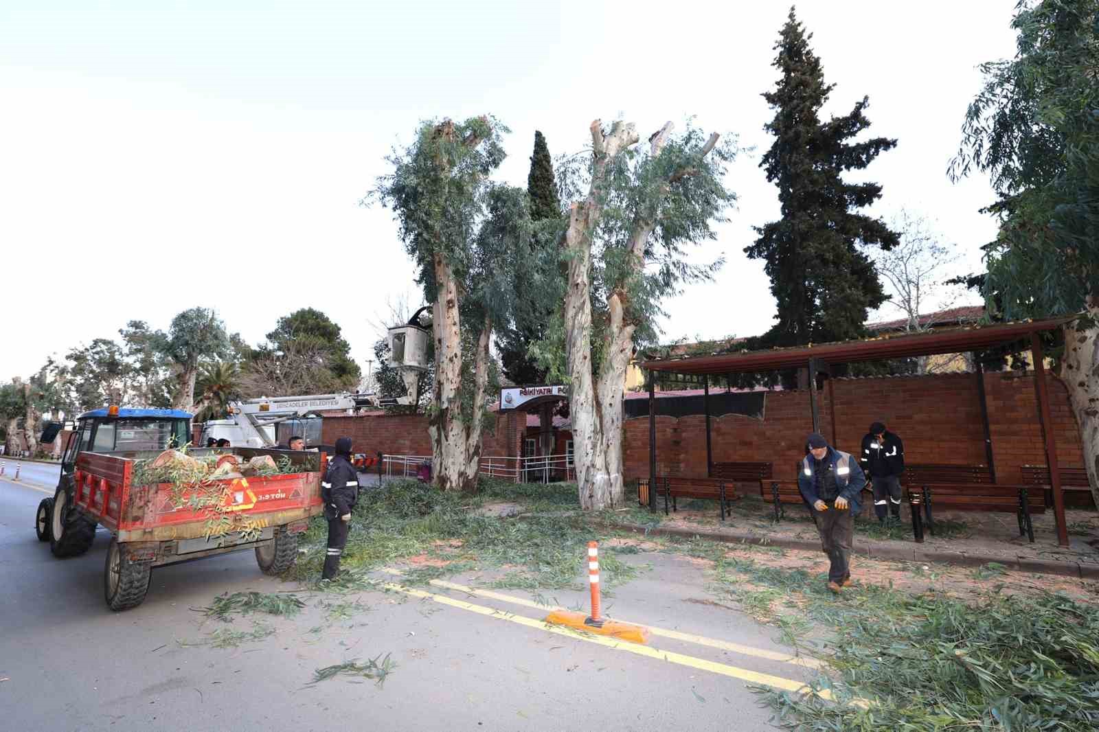 Şehzadeler Belediyesi’nden trafik güvenliği için budama çalışması