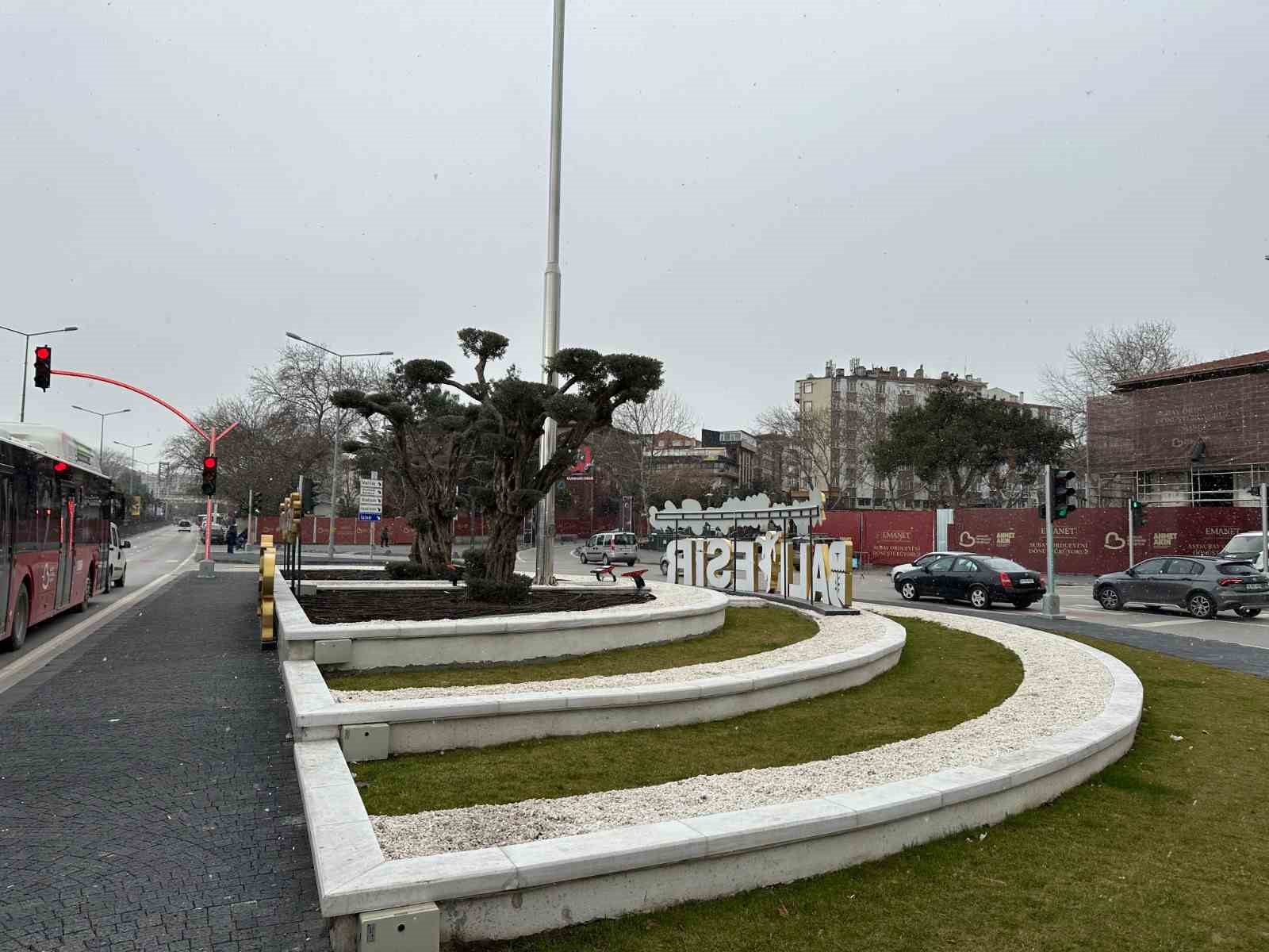 Kırmızı roket, japon kamelyası, ters himalaya sediri