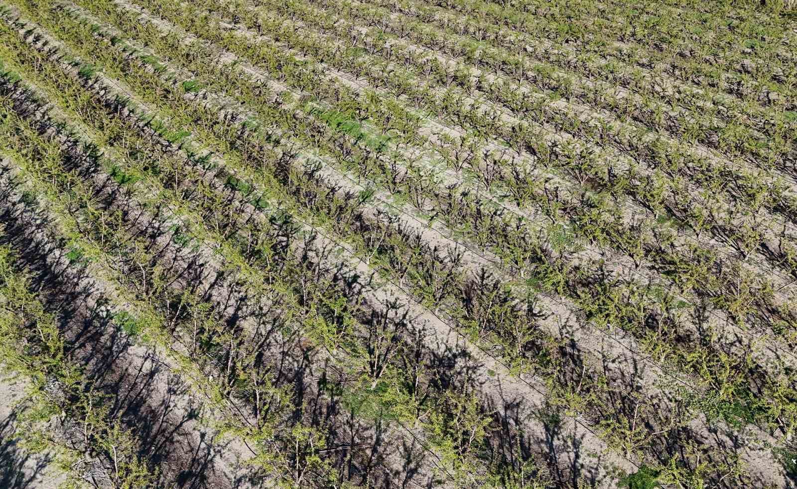 Tarsus&rsquo;ta dondan zarar g&ouml;ren b&ouml;lgelerin afet b&ouml;lgesi ilan edilmesi talebi

