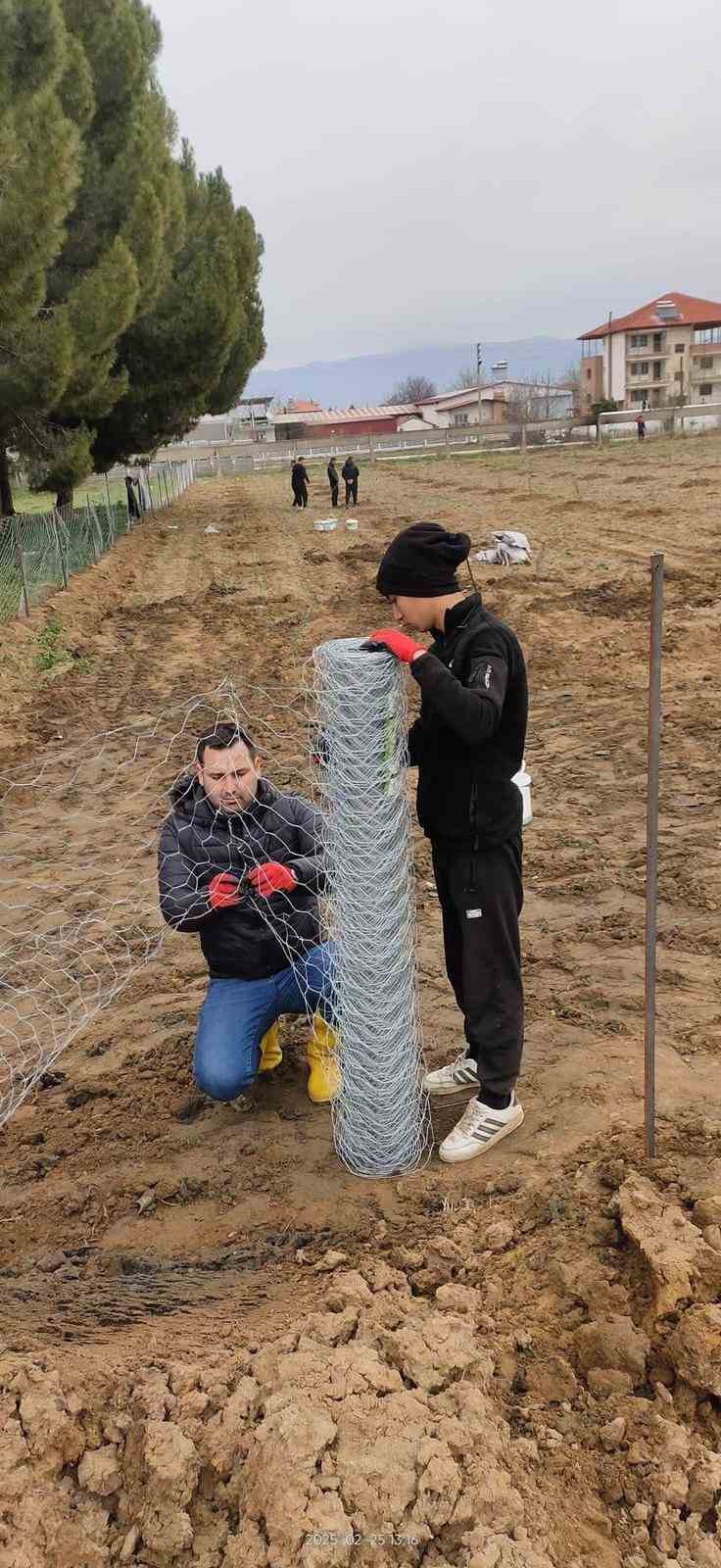 Tarım öğrencileri 200 zeytin fidanı dikti
