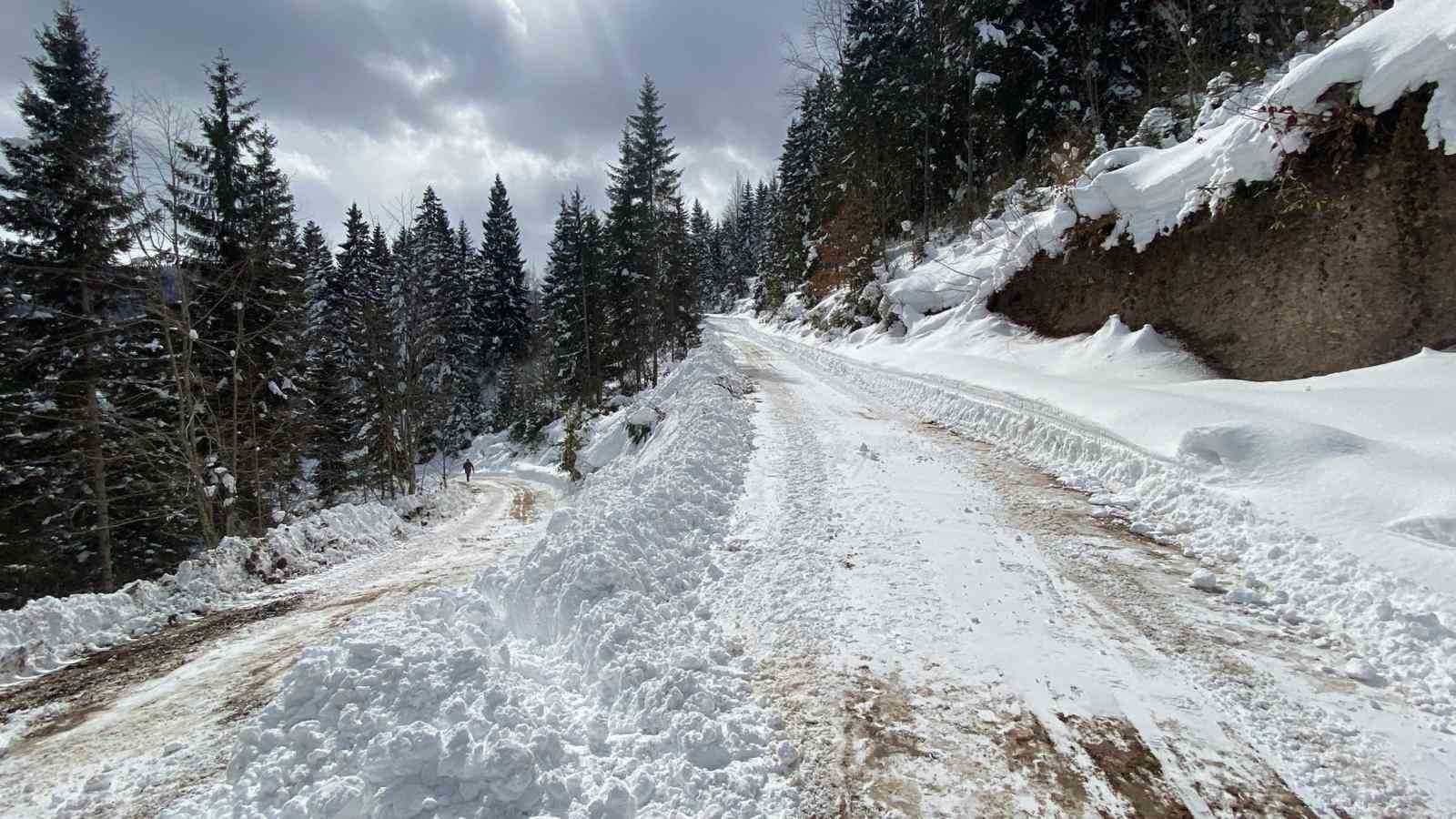 Trabzon’daki tüm kapalı yollar ulaşıma açıldı
