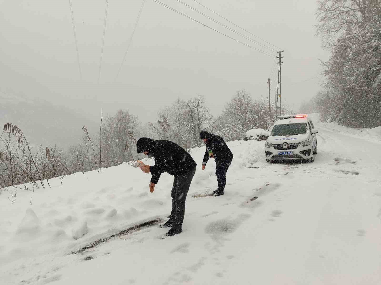 Polis ekipleri sokak hayvanları i&ccedil;in seferber oldu
